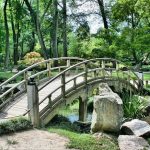 jardin japonnais