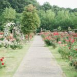 Comment créer un jardin paysager ?