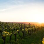 destinations de tourisme