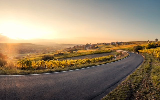Route des vins en Bourgogne