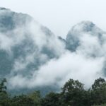 forêts tropicales