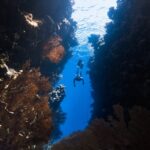 océans à explorer