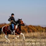équitation en pleine nature