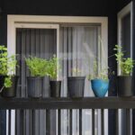 balcon ensoleillé