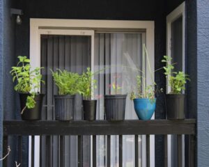 balcon ensoleillé