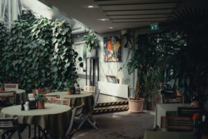 jardin intérieur
